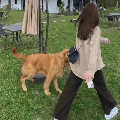 森林奇旅